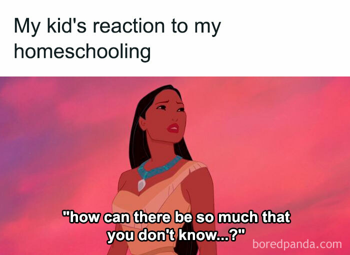 Home-School-Parents-Distance-Zoom-Learning