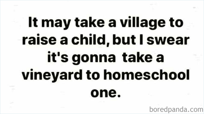 Home-School-Parents-Distance-Zoom-Learning