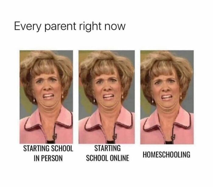 Home-School-Parents-Distance-Zoom-Learning