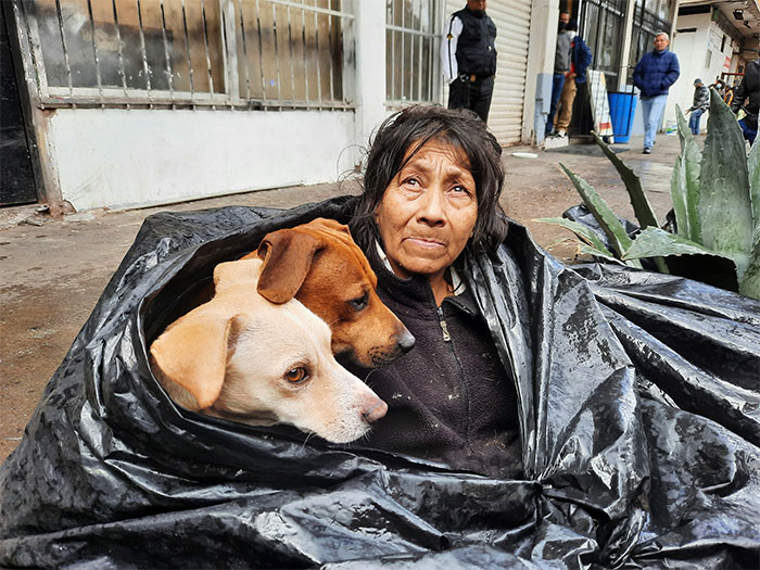 Homeless Woman Found In A Garbage Bag On The Street With 6 Dogs Refuses To Go To A Shelter Because They Don’t Allow Pets
