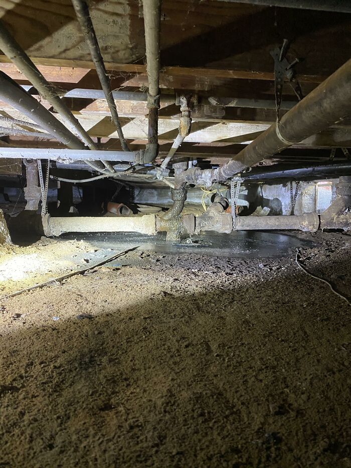 Horrible-Structural-Inspections