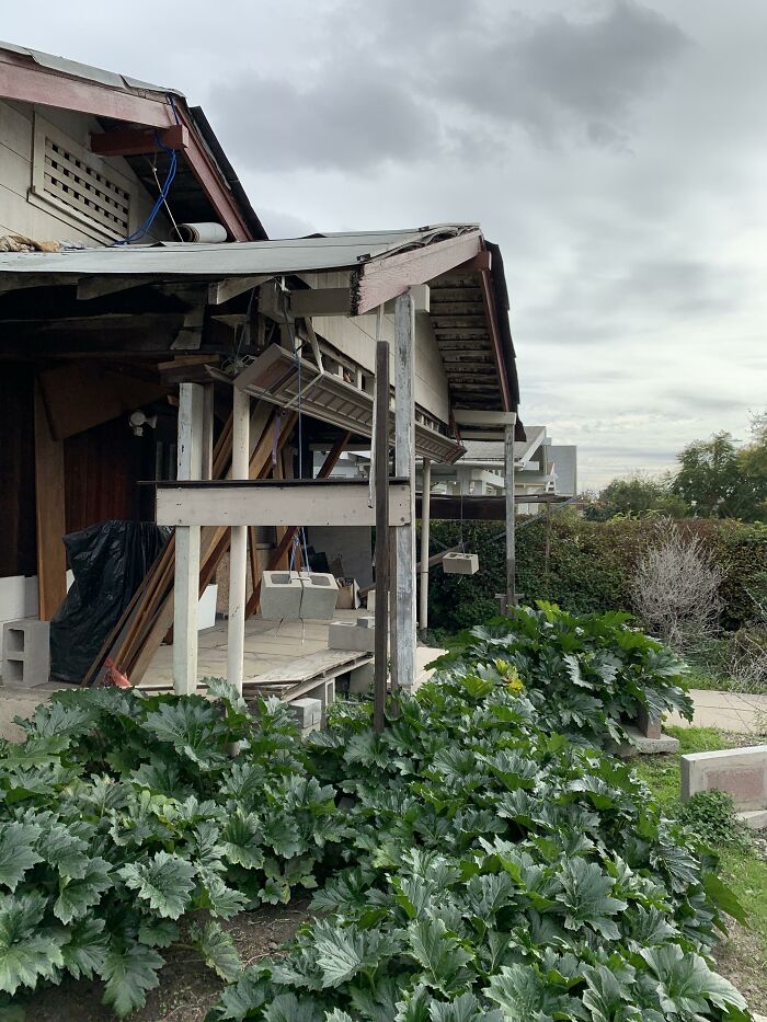 Horrible-Structural-Inspections