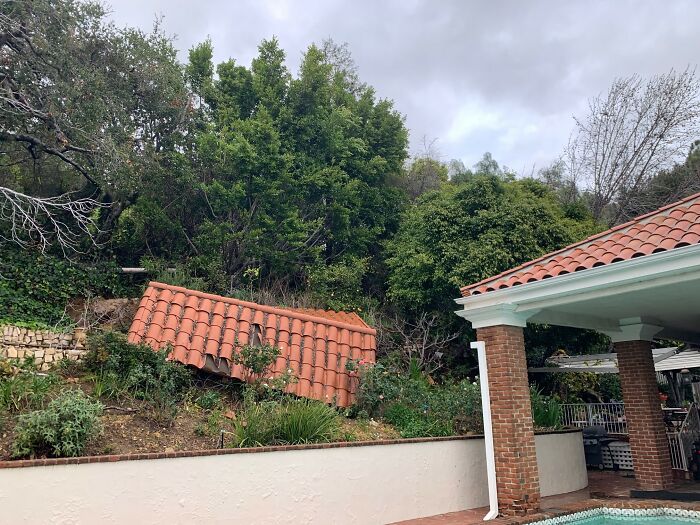 Horrible-Structural-Inspections