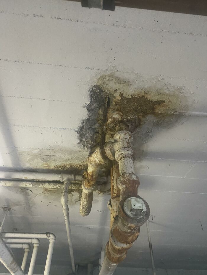 Horrible-Structural-Inspections