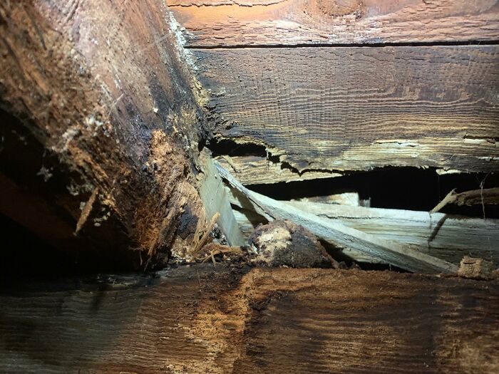 Horrible-Structural-Inspections