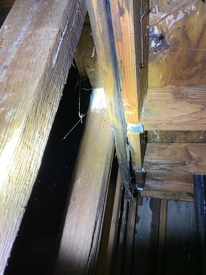 Horrible-Structural-Inspections