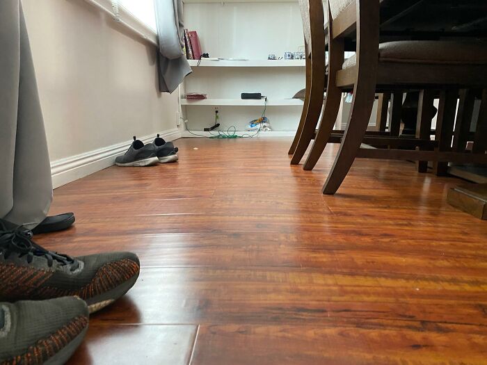 Horrible-Structural-Inspections