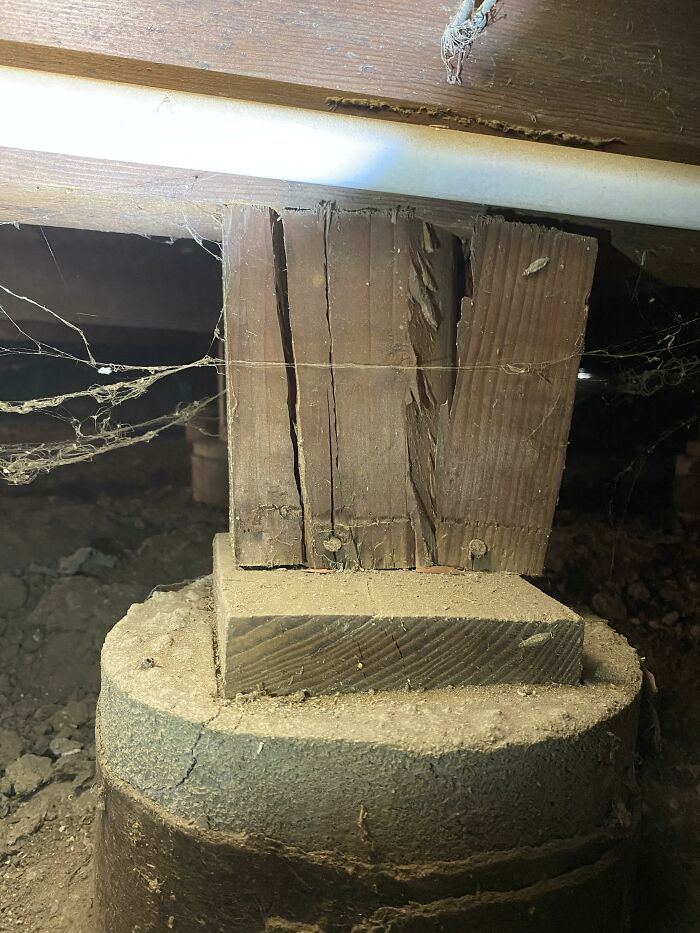 Horrible-Structural-Inspections