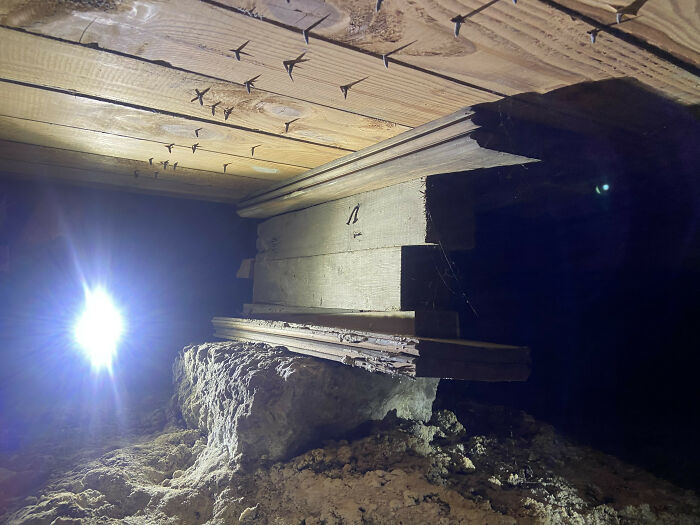 Horrible-Structural-Inspections