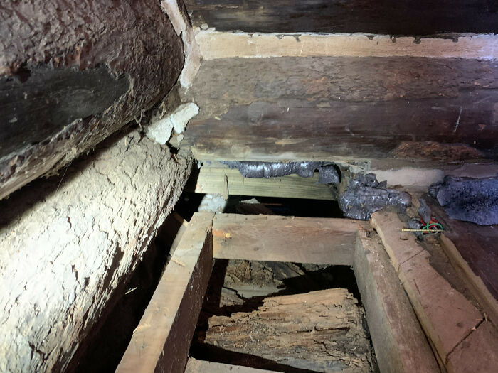 Horrible-Structural-Inspections