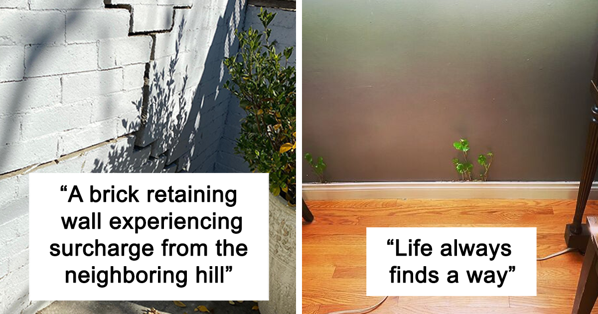 30 ‘Nightmares’ And ‘Miracles’ Discovered During Structural Inspections