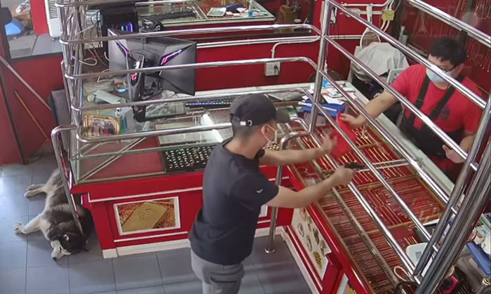 Este perro guardián llamado Lucky ignoró a un «ladrón» durante un ejercicio de entrenamiento en una joyería