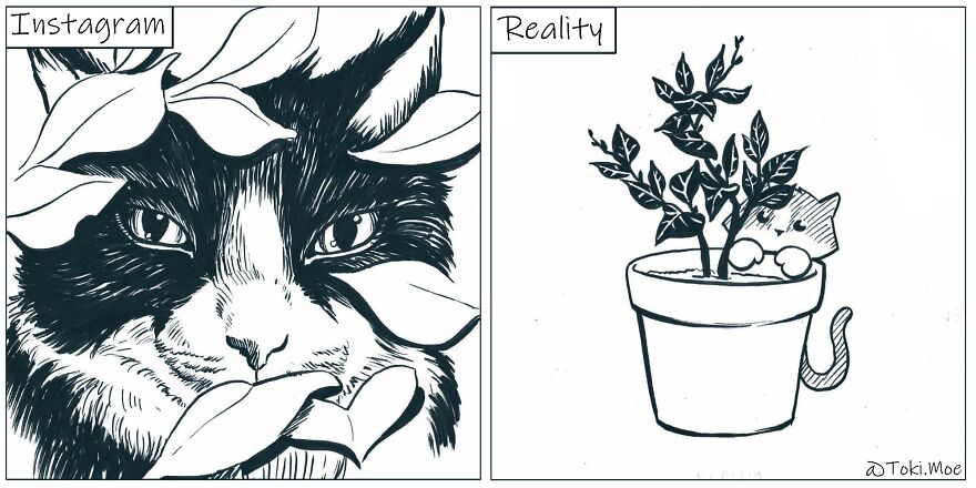 Relatable Comics That Sum Up The Simple Beauty Of Living With Our Pets!