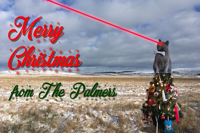 Our 2020 Christmas Card Featuring Our Cat Luna.