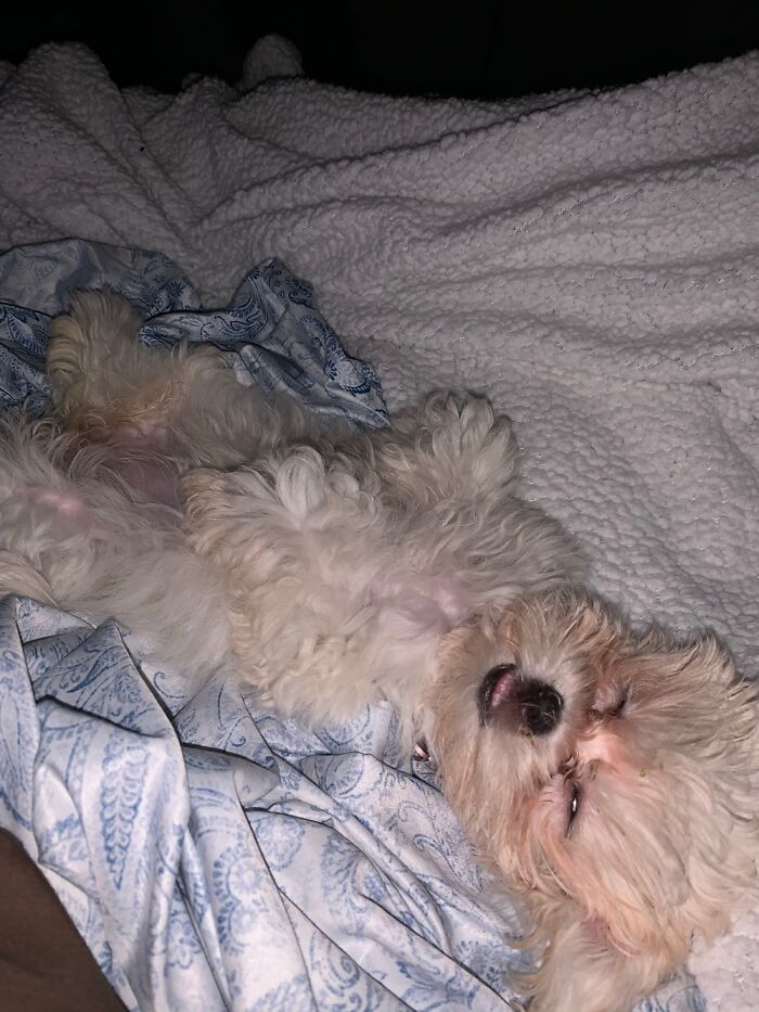 Life At 12 Weeks! I’m Jealous!