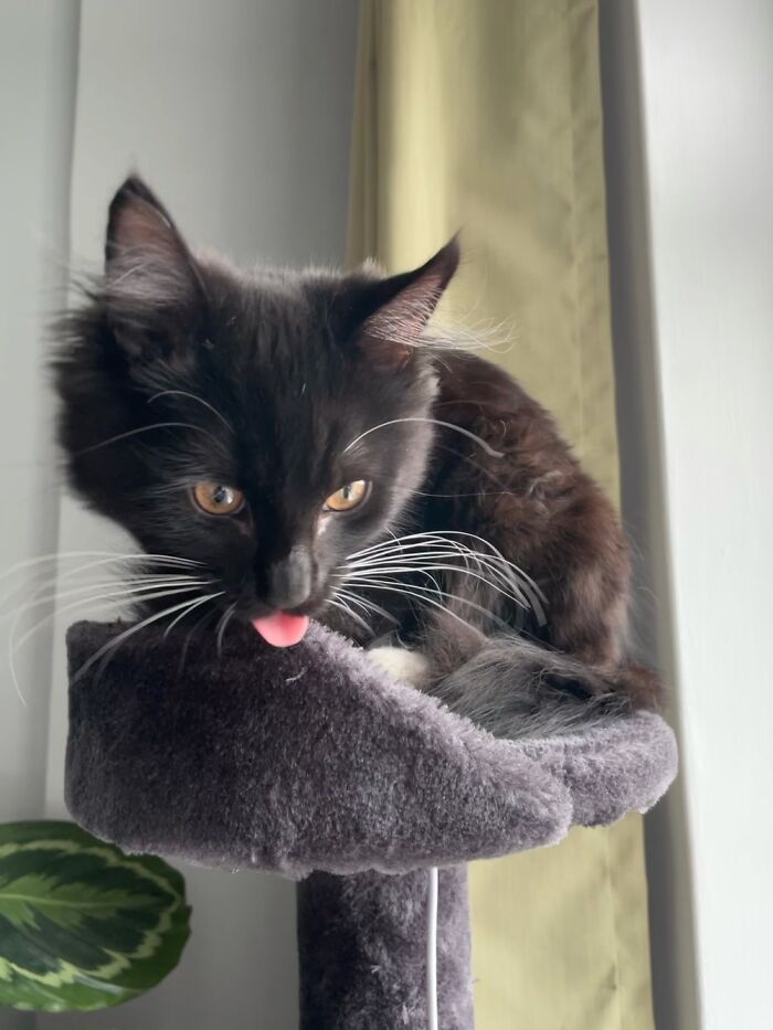 Albus’ First Blep