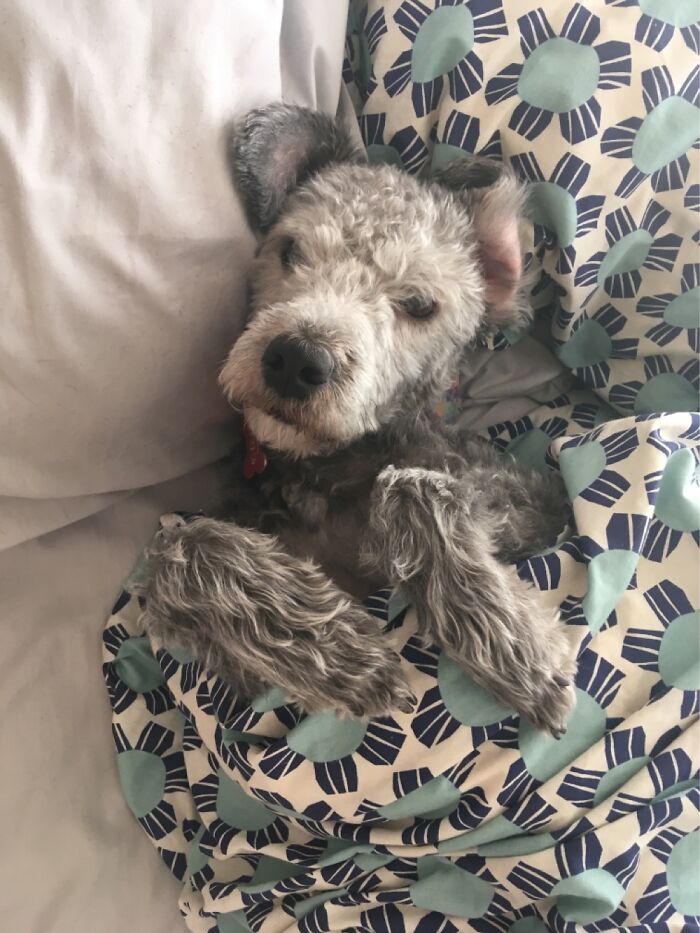 Some Days I Wake Up To This.