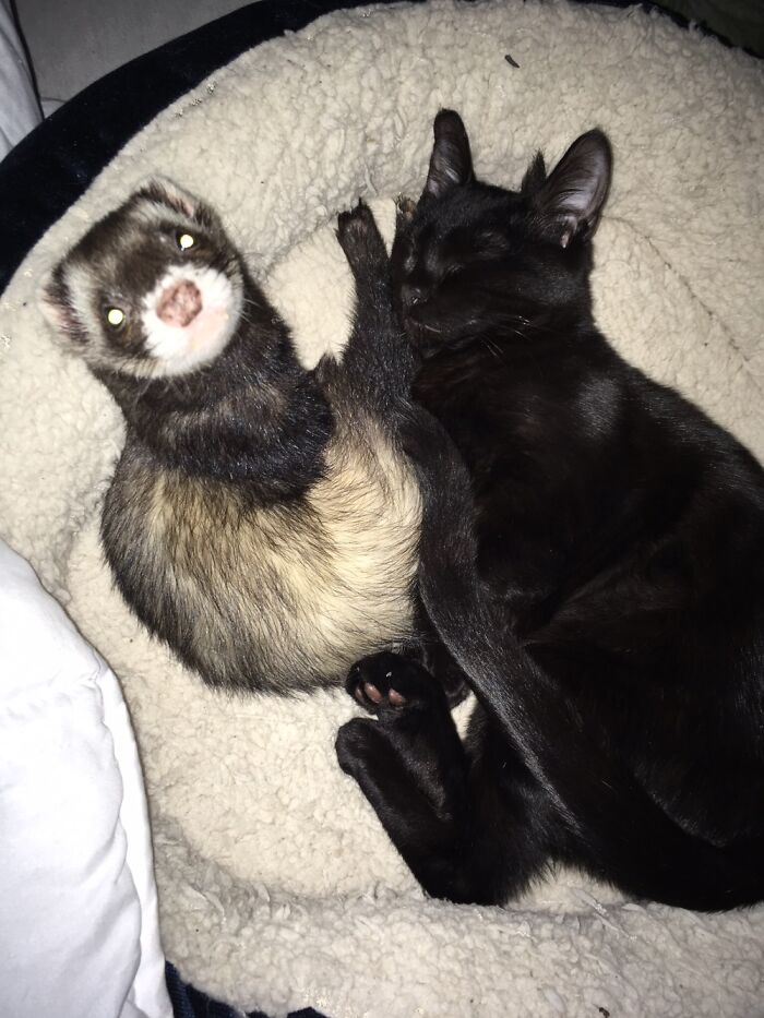 In Someone Else’s Bed....and On Their Feet!