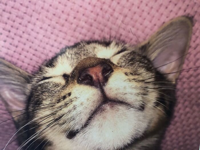 Bubba, Love Him To The Moon And Back.