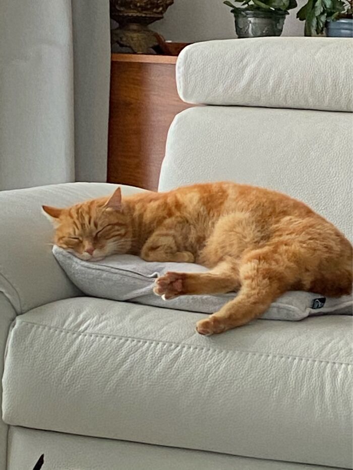 First Time He Came Inside. ( Two Weeks Ago)