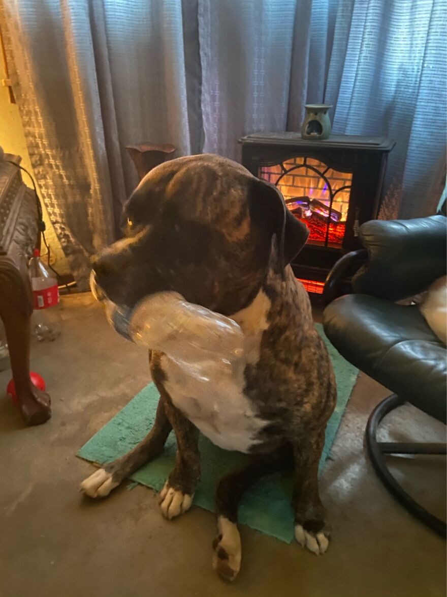 Aurora Loves Her Water Bottle!