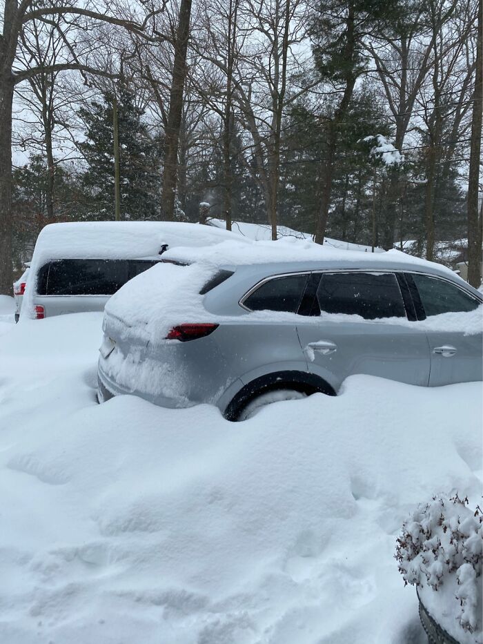 My Driveway That Morning