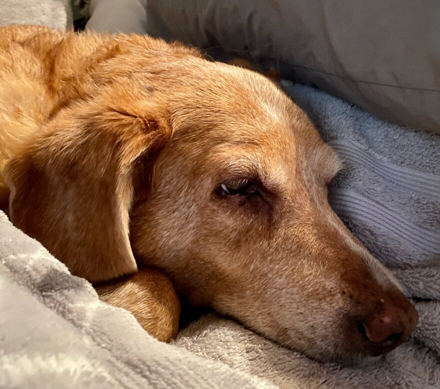 My Little Old Lady On Her Birthday 🥰