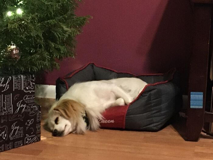 She Fits If She Wanted To. Usually She’s Also Upside Down