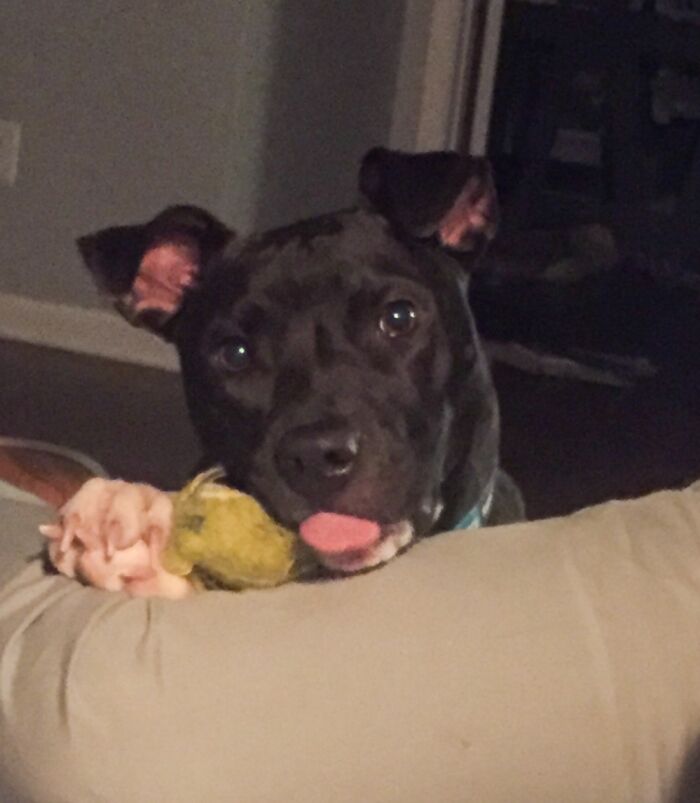 Nella, The Sweetest Little Lady