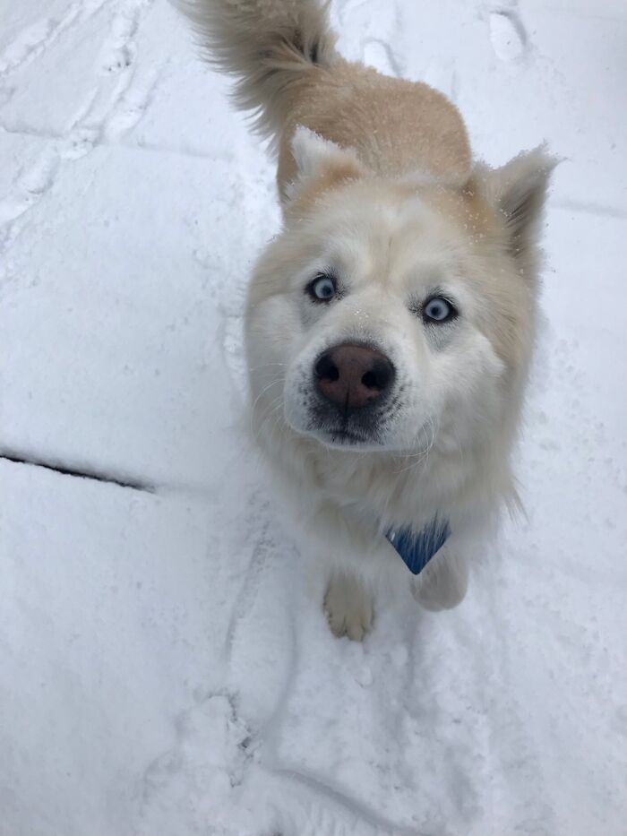 This, He Was In The Middle Of Yelling At Me When I Took This Photo