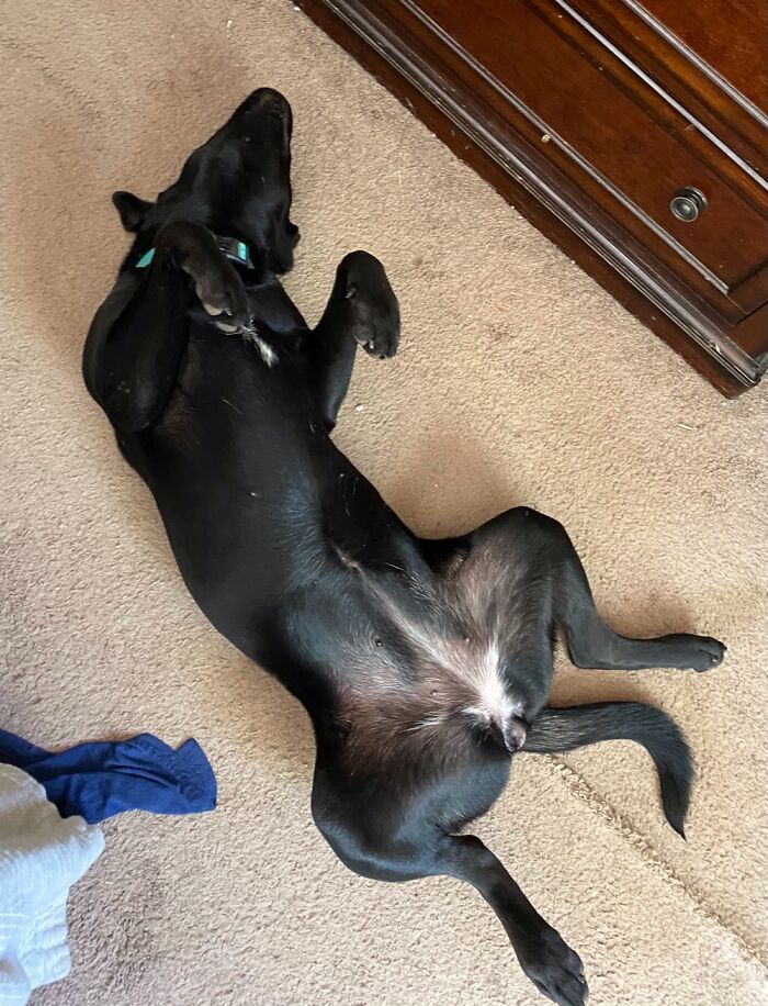 Mabel Bring Her Normal Mabel Self