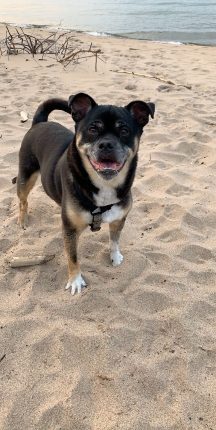 The Happiest Boy There Ever Was