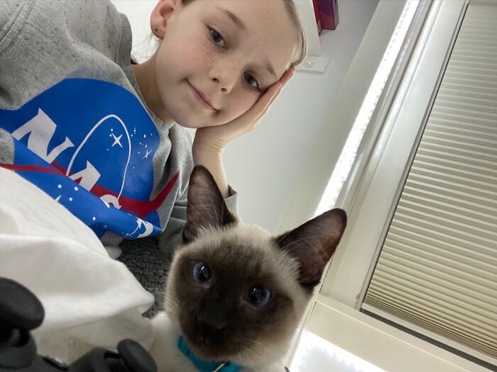 This Is My Cat, Rizzo, When He Was A Kitten.