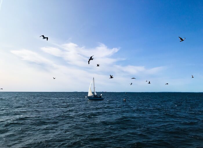 Couple Months Ago Between The Lockdowns I Took A Trip To Denmark And Sweden On A Camper.