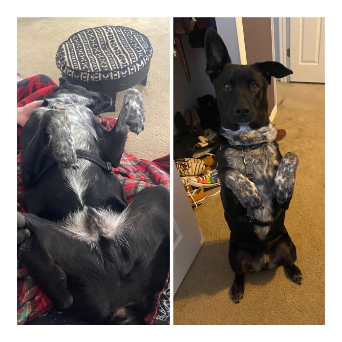 Don’t Bother Me Mode vs. Look What I Can Do