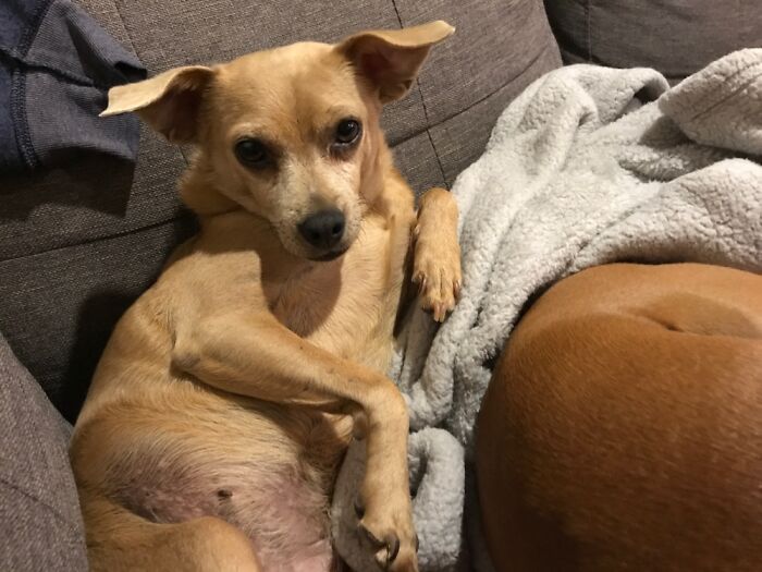 Chant Touch The Queen!