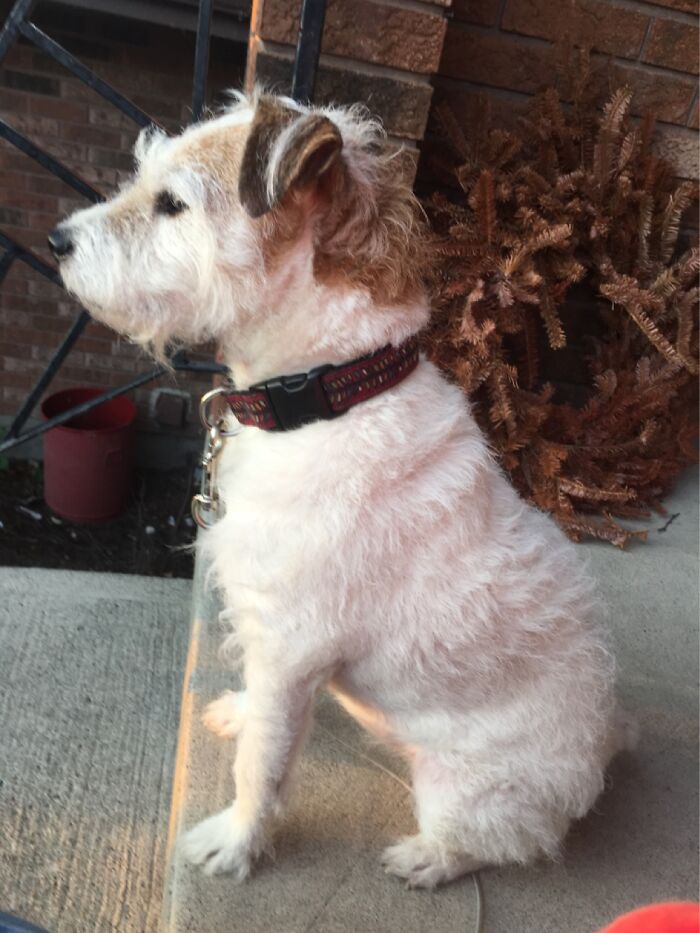 My Zoë Deep In Thought.