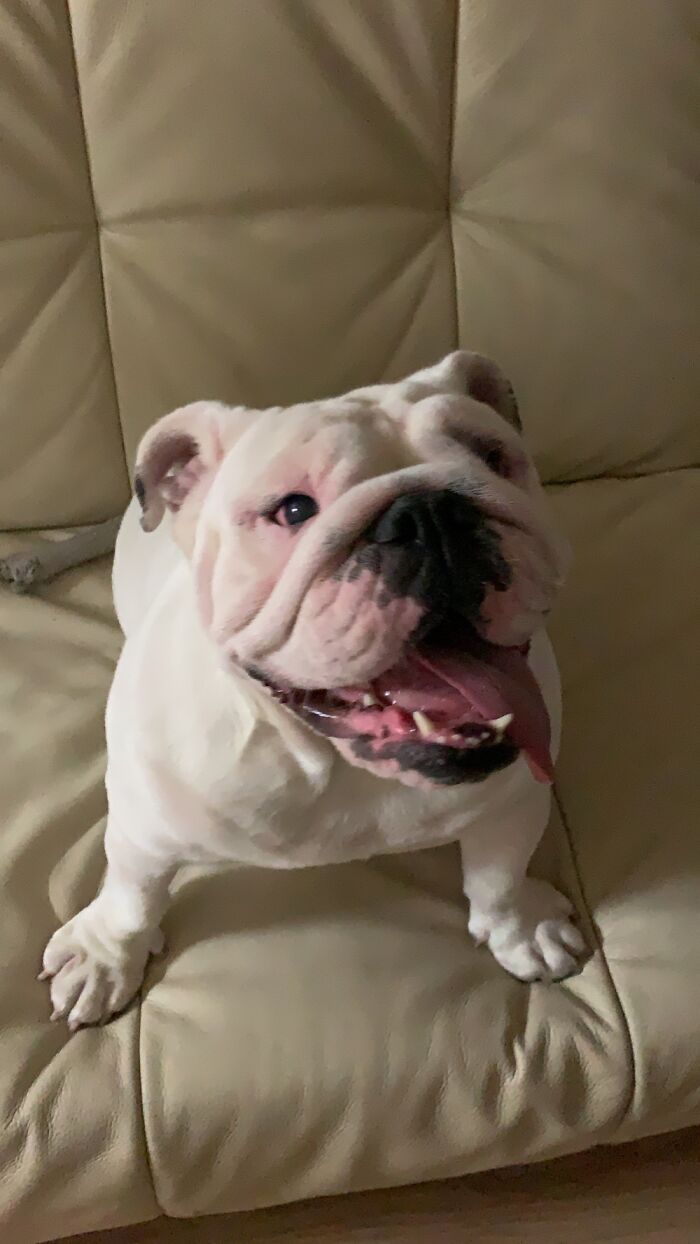 Our Adorable Princess Bella