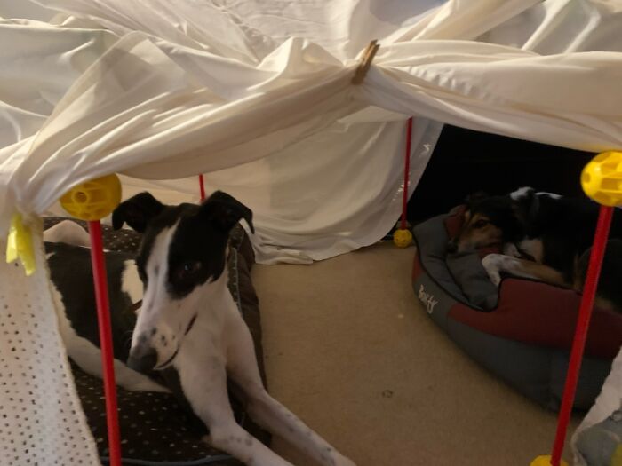 Roo (Left), Tigger (Right). Would Always Be Seen Together At All Costs, Will Not Be Split Up.