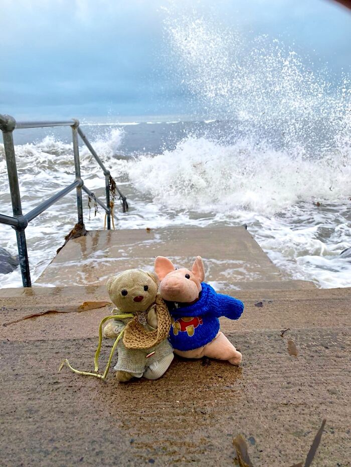 Teddy Bear On The Left Is 25 Years Old