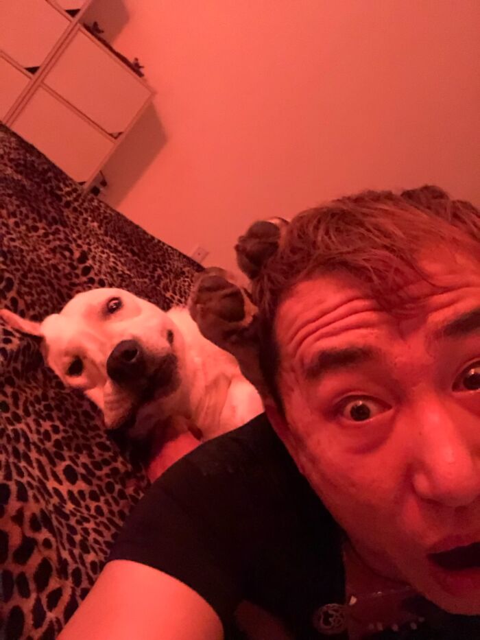 My Dog Is A Mixture Of Being Polite And Crazy, Like Me.