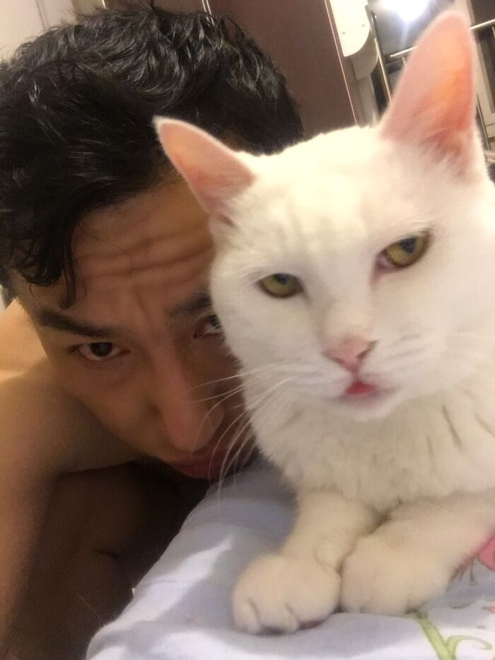 My Cat Often Looks Mad, Like Me.