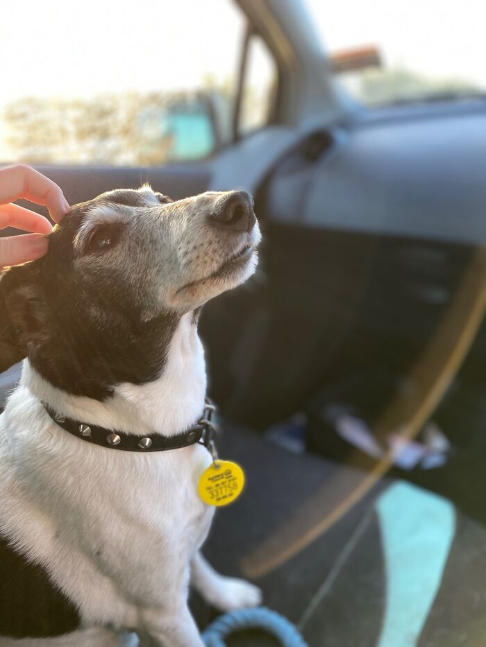 Definitely This One That I Took Of My Old Man Not Long Ago, Even Though My Hand Is In It