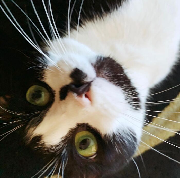 Hello My Name Is Crouton