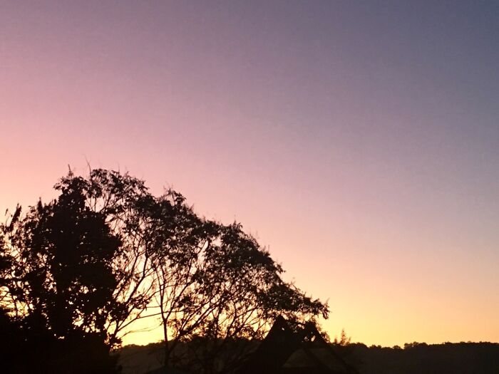 This One Is Technically Of Natural Lighting, Does That Count?