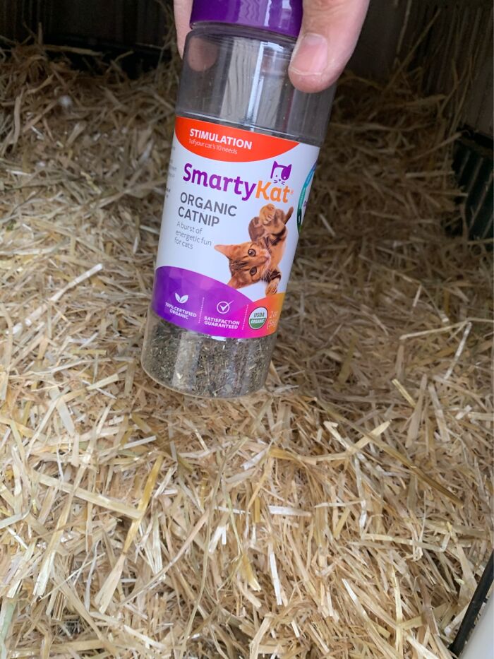 How I Saved The Strays From A Frozen Death With A Shelter Budget Of 0$ How I Saved The Strays From A Frozen Death With A Shelter Budget Of 0$