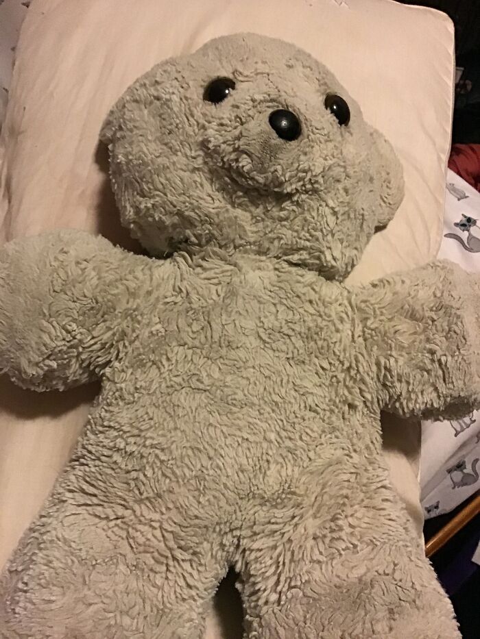 A Teddy Bear That’s 32 Years Old