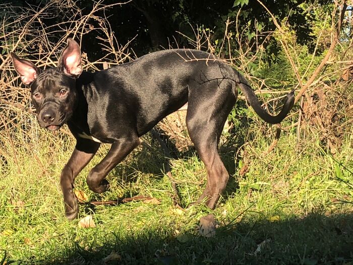 Timing Is Everything 🤣