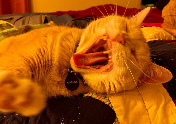 She Was Super Cute Right Before I Took The Picture