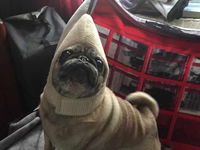 Lucy Likes Her Banana Hat